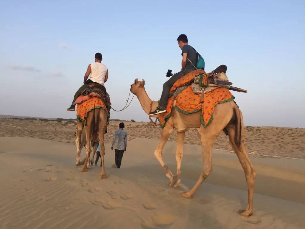 Jaisalmer traveller gallery image 3