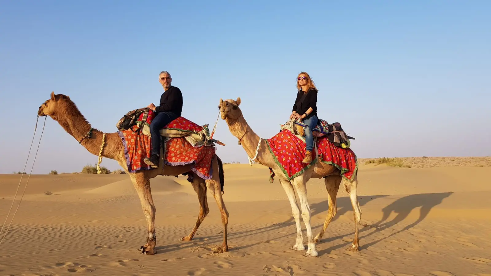 Jaisalmer traveller gallery image 5