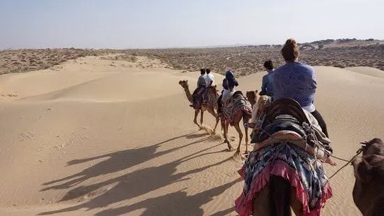Jaisalmer traveller gallery image 9
