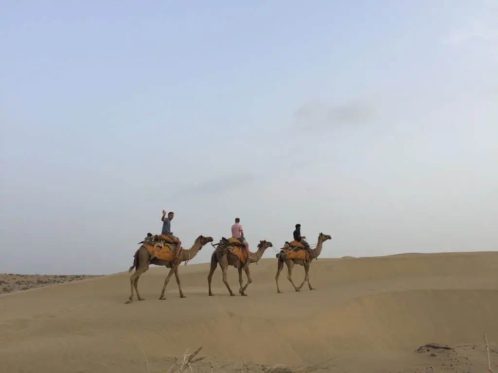 Jaisalmer traveller gallery image 16