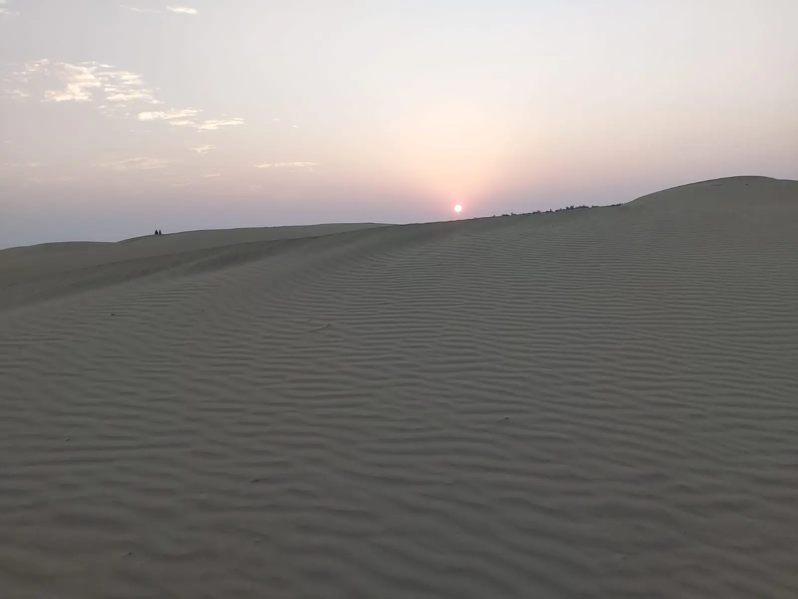Jaisalmer traveller gallery image 18