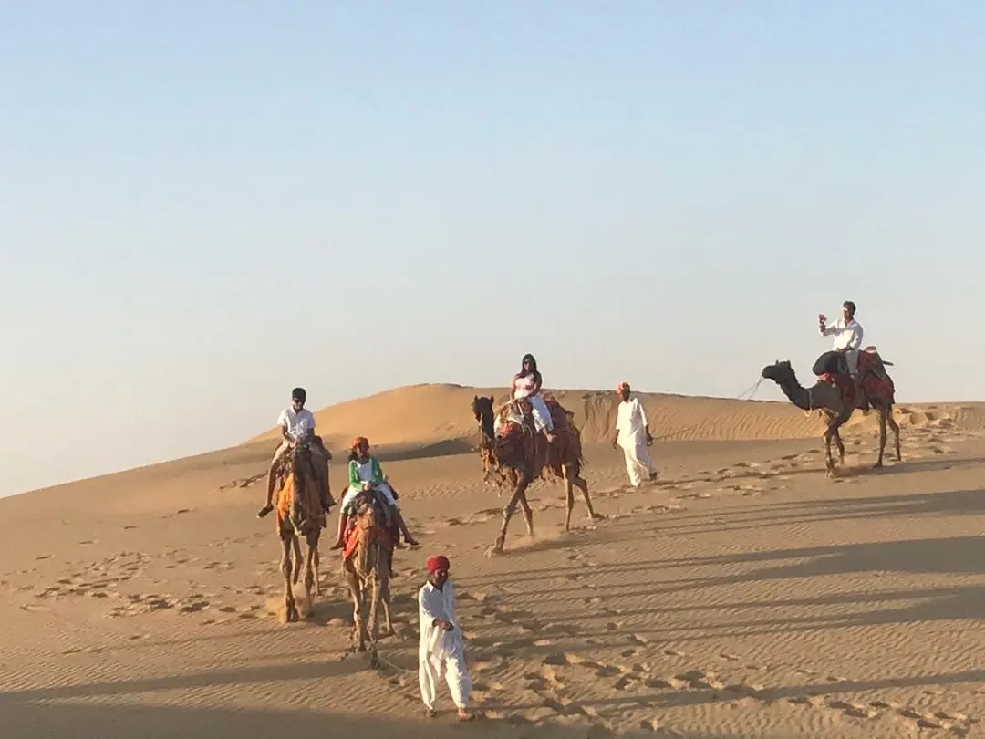 Jaisalmer traveller gallery image 19