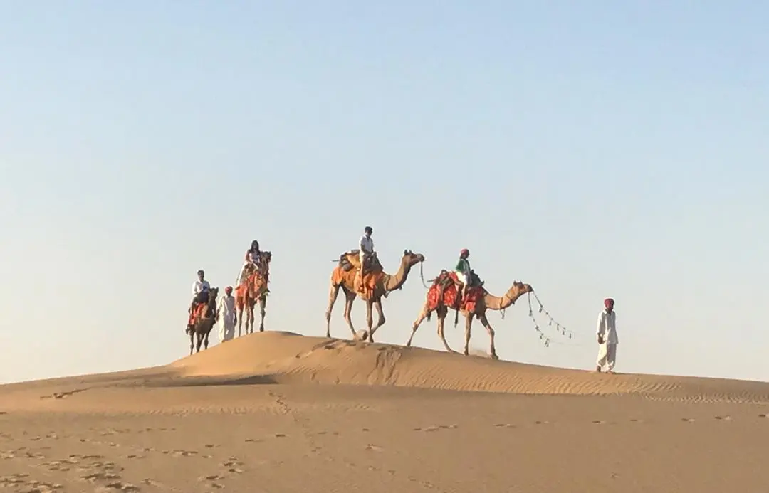 Jaisalmer traveller gallery image 24